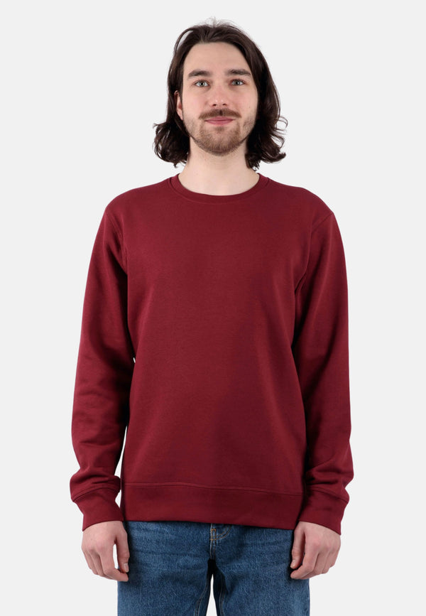 Premium Unisex Pullover "Roller"